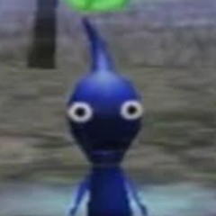 squorper
