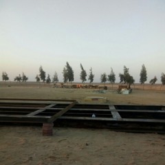 عاصم العميرى