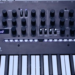 Lawbass
