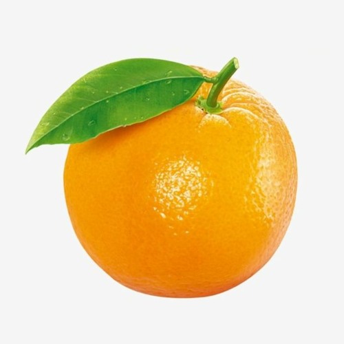 orrible.orange’s avatar