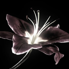 errornotfound01