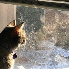 to Him be the Glory.