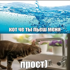 ярык