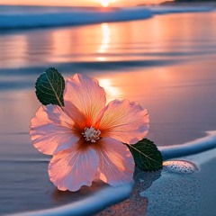 September 🌸🐚