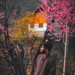 Talha Arain