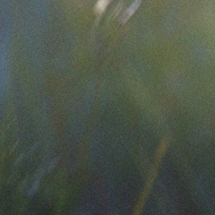 meadowform