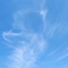 diagonal.