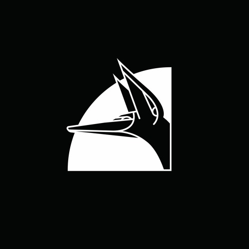 Bella Ursa Recordings’s avatar
