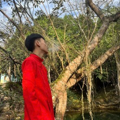 nguyễn lâm