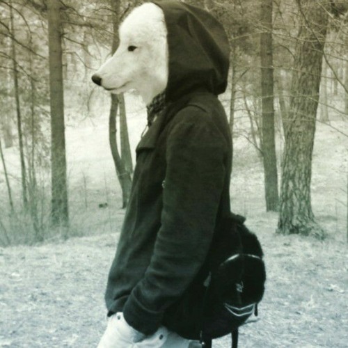 Hooded-Wølf’s avatar