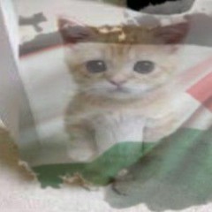 paperowo