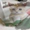 paperowo