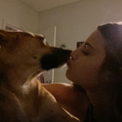 jessiebessie