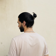 alireza mardani