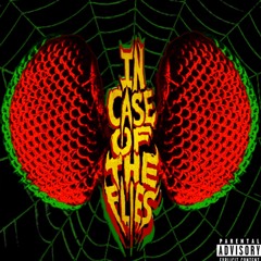 In Case of the Flies