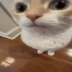 123