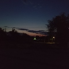 Коля Мальцев