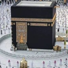Mamt Mohamed