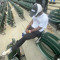 bryso
