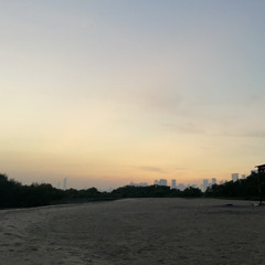 salsuwaidi