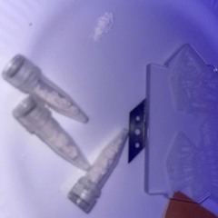 Broke._.Kidd030