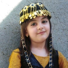 Sanaz Ziyaaee