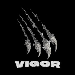 vigor dubz