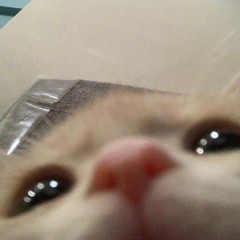 dohung.