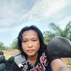 Gutil Sonor