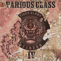 Tiger Class Records