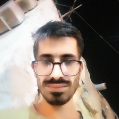 سید محمد حسینی نسب