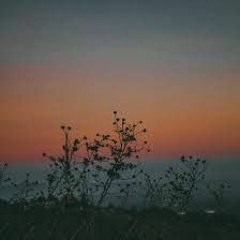 PQT- 范光松