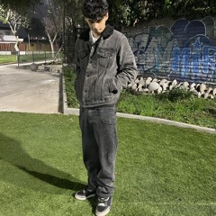 Isvvc sanchez