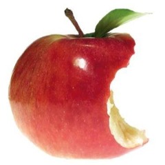 CubbyRat (@H3xxTheRat)