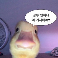 ⸜(๑'ᵕ'๑)⸝