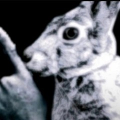 Roblox Jukes Typa Beat