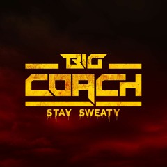 Big Coach