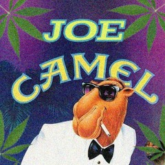 JOE CAMEL