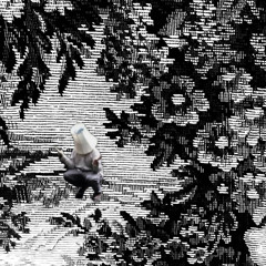 𝐕⃥⃒̸𝐎⃥⃒̸𝐈⃥⃒̸𝐃⃥⃒̸ 𝐂⃥⃒̸𝐋⃥⃒̸𝐎⃥⃒̸𝐔⃥⃒̸𝐃⃥⃒̸