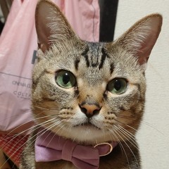 しるきマザ