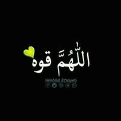 اسامةالصادق علي عبدالله