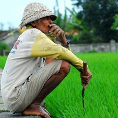angkat tangan di atas