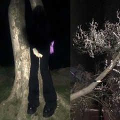 raf