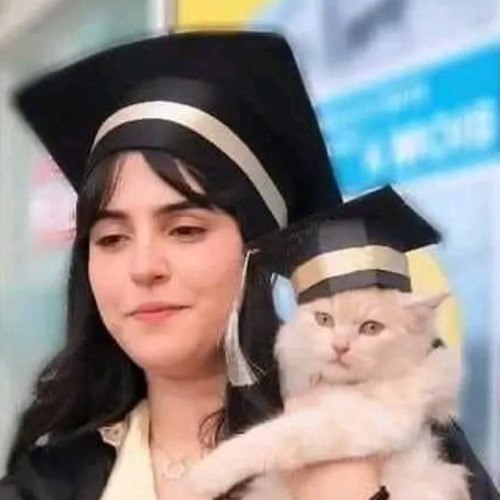 ‎⁨‏‏‏تتر بدايه مسلسل ابو العروسه ٤⁩
