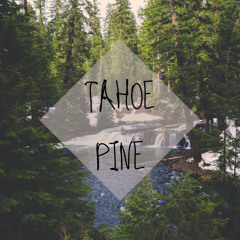 Tahoe Pine