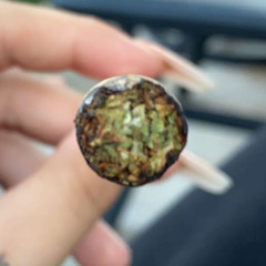 zoe ᡕᠵ᠊ᡃ່࡚ࠢ࠘⸝່ࠡࠣ᠊߯᠆ࠣ࠘ᡁࠣ࠘᠊᠊ࠢ࠘𐡏 . * + .♡