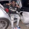 Baby9inec
