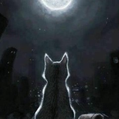 petitchat