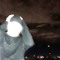 sancitykidblu