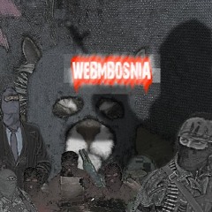 WEBMbosnia
